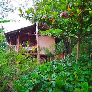Akash Treehouse Privatunterkunft