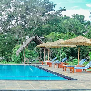 Peacock Homestay Homestay