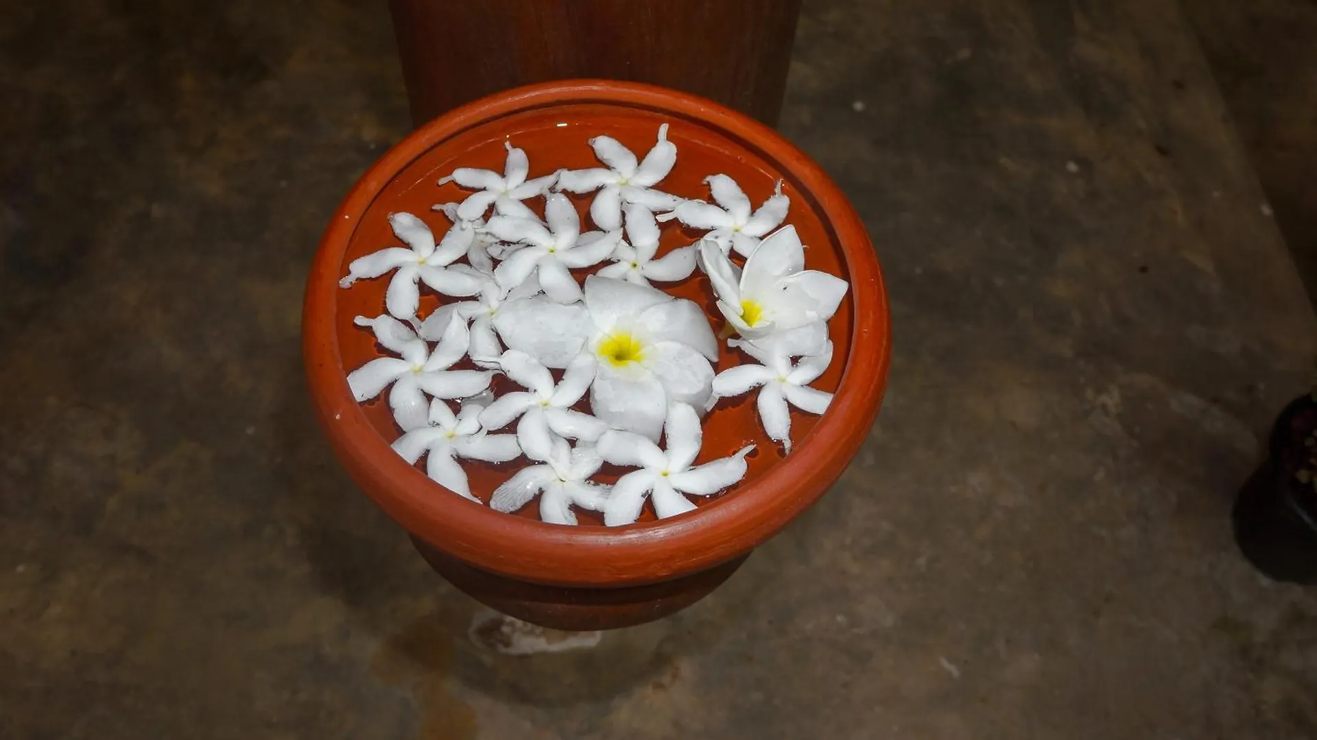 Homestay Flash Rock Villa Sigiriya Sri Lanka
