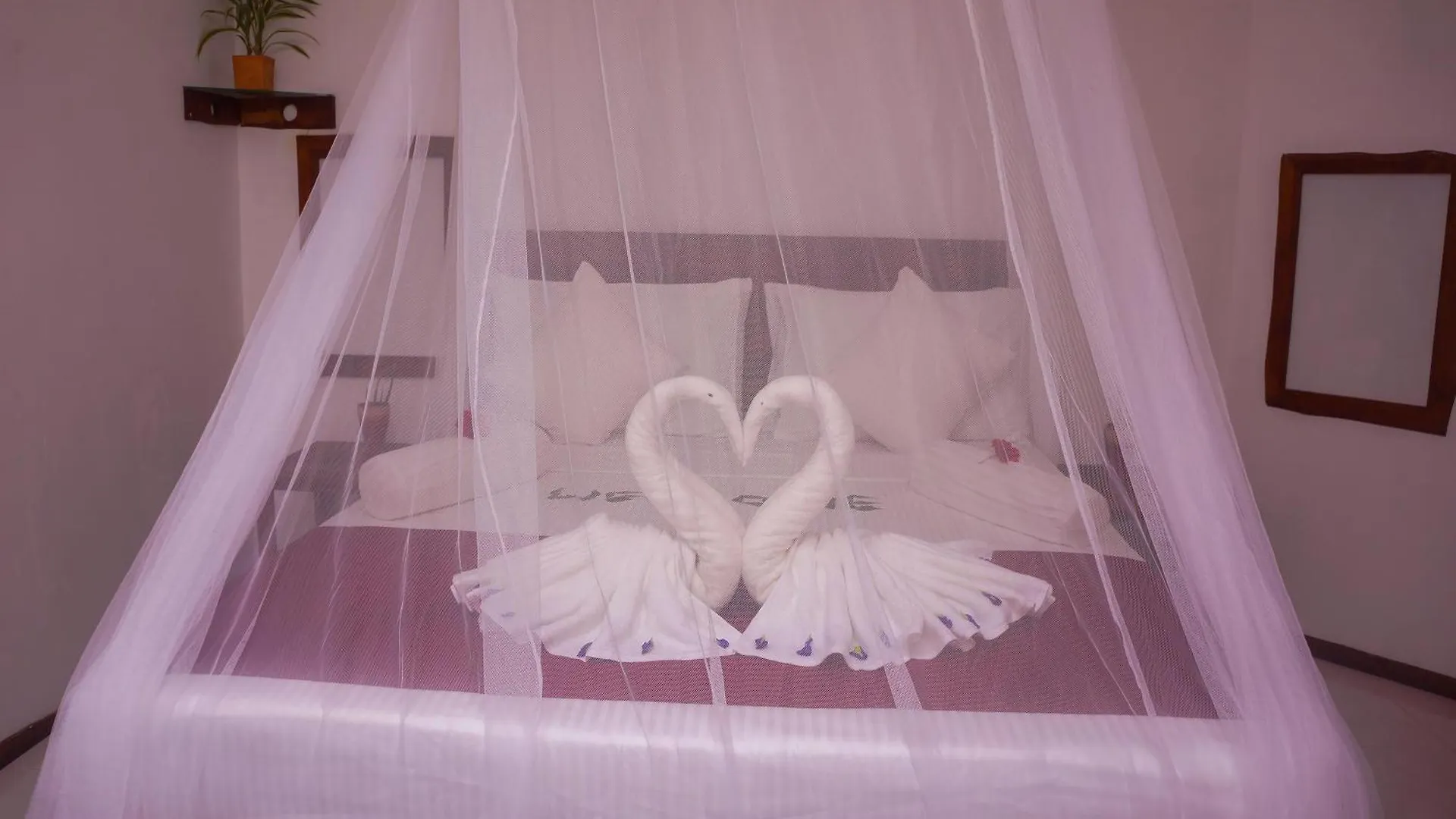 Flash Rock Villa Sigiriya Homestay