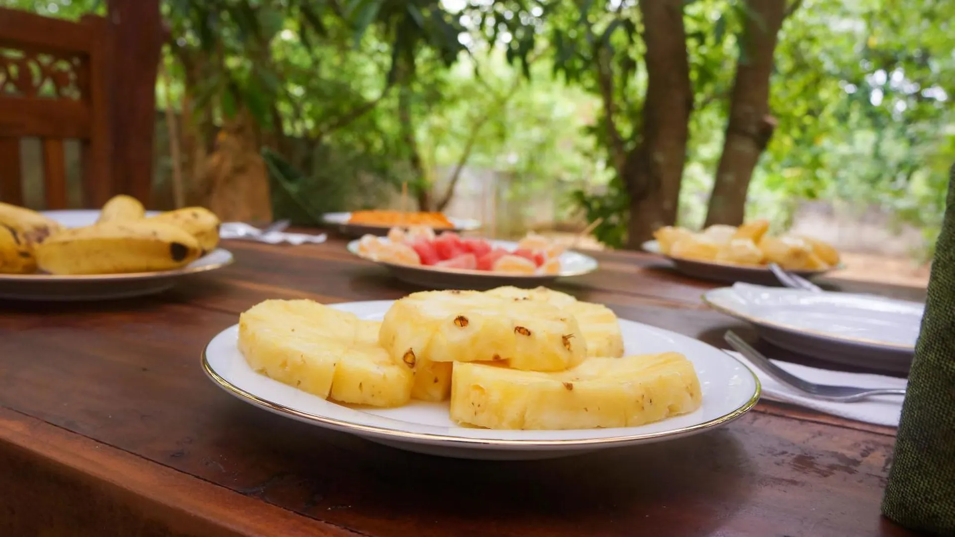 Homestay Flash Rock Villa Sigiriya Sri Lanka