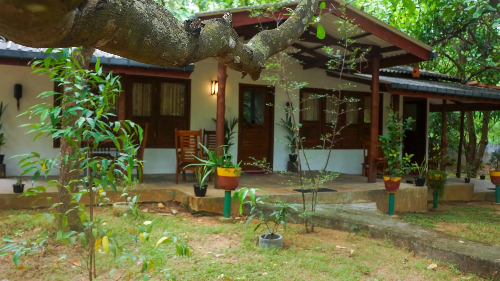 Homestay Flash Rock Villa Sigiriya Sri Lanka
